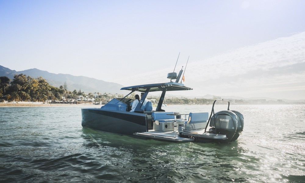 Virtue V10